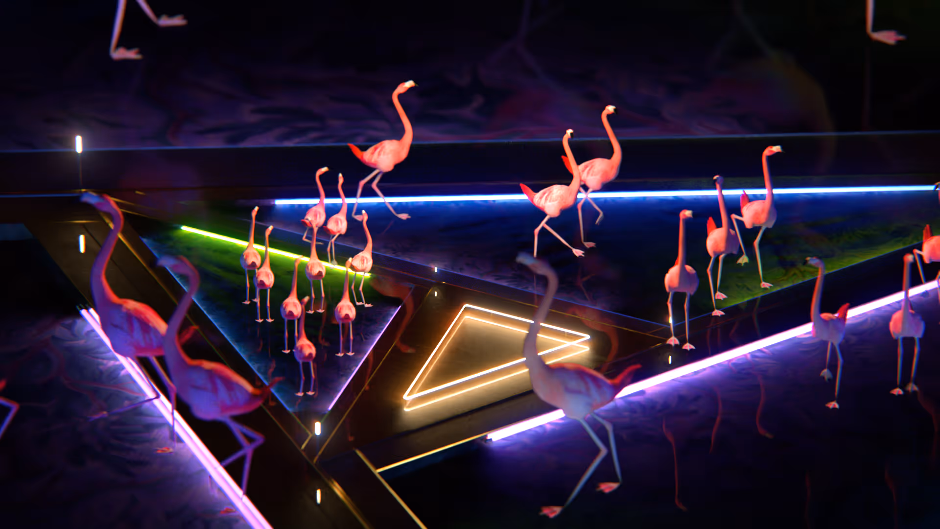 HODL Airdrop by Gavin Shapiro