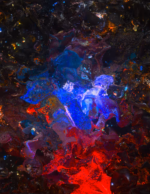 Machine Hallucinations: Renaissance / Sculpture by Refik Anadol