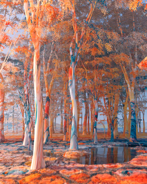 Transitions by Mankind